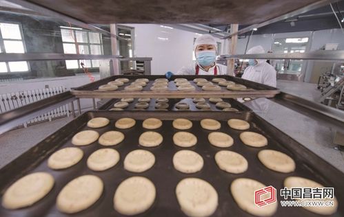 昌吉高新區葡萄樹食品 亞麻籽馕的傳統工藝與現代生產